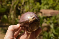 Polished Petrified Red Podocarpus Wood Eggs x 4 From Mahajanga, Madagascar - TopRock