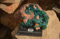 Natural Large Emerald Dioptase Crystal Specimen With Malachite On Red & Yellow Dolomite Matrix x 1 From Likasi, Congo