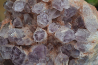 Natural Large Sugar Amethyst Cluster  x 1 From Zambia - Toprock Gemstones and Minerals 