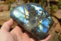 Polished Labradorite Standing Free Forms With Intense Blue & Gold Flash x 3 From Sakoany, Madagascar - TopRock