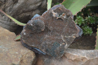 Natural Rare Torbernite & Drusy Quartz On Hematite Ironstone Matrix Specimens x 2 From Congo