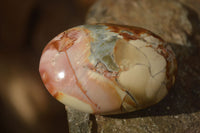 Polished  Polychrome / Picasso Jasper Palm Stones  x 12 From Madagascar