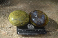 Polished Green Opal Palm Stones  x 12 From Madagascar - Toprock Gemstones and Minerals 