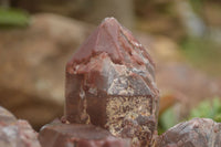 Natural Red Hematoid Quartz Specimen x 1 From Karoi, Zimbabwe - TopRock