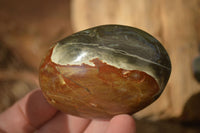 Polished  Polychrome / Picasso Jasper Palm Stones  x 12 From Madagascar