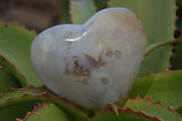 Polished Large Agate Gemstone Hearts x 6 From Madagascar