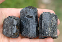 Natural Large Affordable Alluvial Black Tourmaline Crystals x 12 From Zimbabwe - TopRock