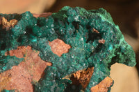 Natural Large Emerald Dioptase Crystal Specimen With Malachite On Red & Yellow Dolomite Matrix x 1 From Likasi, Congo