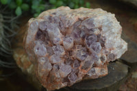 Natural Large Sugar Amethyst Cluster  x 1 From Zambia - Toprock Gemstones and Minerals 