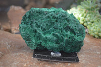 Natural Chatoyant Silky Malachite Specimens  x 2 From Kasompe, Congo - Toprock Gemstones and Minerals 