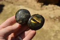 Polished Flashy Labradorite Palm Stones  x 20 From Tulear, Madagascar - TopRock