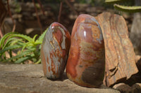 Polished Polychrome Jasper Standing Free Forms  x 2 From Marovato, Madagascar