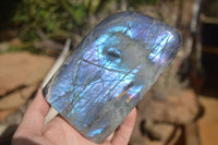 Polished Rare Purple Flash Labradorite Standing Free Forms x 2 From Tulear, Madagascar