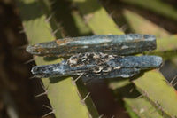 Natural Single Blue Kyanite Crystals  x 2 Kg Lot From Karoi, Zimbabwe