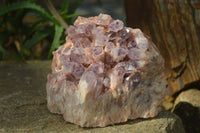 Natural Large Sugar Amethyst Cluster  x 1 From Zambia - Toprock Gemstones and Minerals 