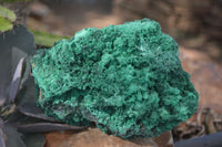 Natural Chatoyant Silky Malachite Specimens  x 2 From Kasompe, Congo - Toprock Gemstones and Minerals 