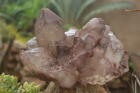 Natural Red Hematoid Quartz Specimen x 1 From Karoi, Zimbabwe - TopRock