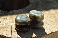 Polished Flashy Labradorite Palm Stones  x 20 From Tulear, Madagascar - TopRock