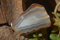 Polished River Agate Nodules  x 6 From Zimbabwe