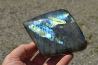 Polished Labradorite Standing Free Forms With Intense Blue & Gold Flash x 3 From Sakoany, Madagascar - TopRock