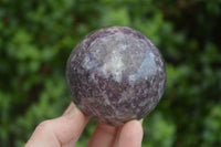 Polished Purple Lepidolite Spheres  x 6 From Madagascar - Toprock Gemstones and Minerals 