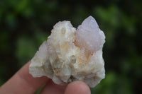 Natural Small Mixed Spirit Quartz Clusters  x 35 From Boekenhouthoek, South Africa - Toprock Gemstones and Minerals 