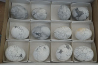 Polished White Howlite Gemstone Eggs x 12 From Madagascar