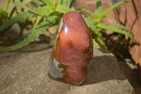 Polished Polychrome Jasper Standing Free Forms  x 2 From Marovato, Madagascar