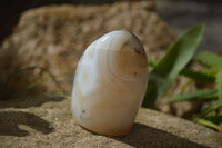 Polished Mixed Agate Standing Free Forms x 6 From Madagascar