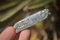 Natural Single Blue Kyanite Crystals  x 2 Kg Lot From Karoi, Zimbabwe