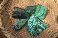 Polished Malachite Free Forms x 3 From Kolwezi, Congo