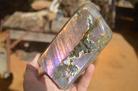 Polished Rare Purple Flash Labradorite Standing Free Forms x 2 From Tulear, Madagascar