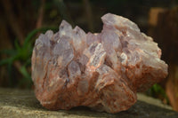 Natural Large Sugar Amethyst Cluster  x 1 From Zambia - Toprock Gemstones and Minerals 