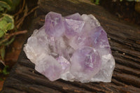 Natural Jacaranda Amethyst Clusters x 2 From Zambia