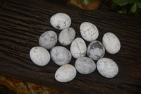 Polished White Howlite Gemstone Eggs x 12 From Madagascar