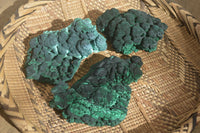 Natural Botryoidal Malachite Specimens  x 3 From Kolwezi, Congo