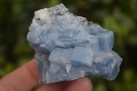 Natural New Sky Blue Calcite Specimens  x 24 From Spitzkop, Namibia