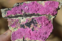 Natural Pink Salrose Cobaltion Dolomite Specimens  x 6 From Kakanda, Congo