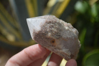 Natural Highly Selected Candle Quartz Crystals  x 12 From Madagascar - Toprock Gemstones and Minerals 