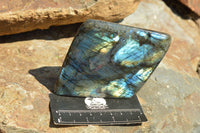 Polished Labradorite Standing Free Forms With Intense Blue & Gold Flash x 3 From Sakoany, Madagascar - TopRock