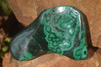 Polished Malachite Free Forms x 3 From Kolwezi, Congo