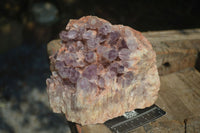 Natural Large Sugar Amethyst Cluster  x 1 From Zambia - Toprock Gemstones and Minerals 