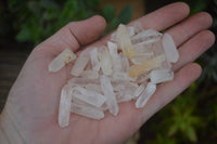 Natural Small Clear Madagascar Quartz Crystals  - Sold per 1 kg - From Madagascar - TopRock