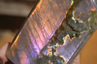 Polished Rare Purple Flash Labradorite Standing Free Forms x 2 From Tulear, Madagascar