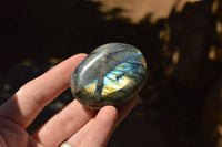 Polished Flashy Labradorite Palm Stones  x 20 From Tulear, Madagascar - TopRock