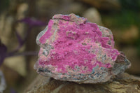 Natural Pink Salrose Cobaltion Dolomite Specimens  x 6 From Kakanda, Congo