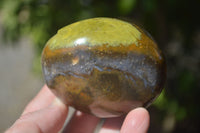 Polished Green Opal Palm Stones  x 12 From Madagascar - Toprock Gemstones and Minerals 