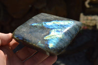 Polished Labradorite Standing Free Forms With Intense Blue & Gold Flash x 3 From Sakoany, Madagascar - TopRock