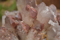 Natural Red Hematoid Quartz Specimen x 1 From Karoi, Zimbabwe - TopRock