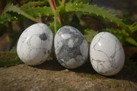 Polished White Howlite Gemstone Eggs x 12 From Madagascar